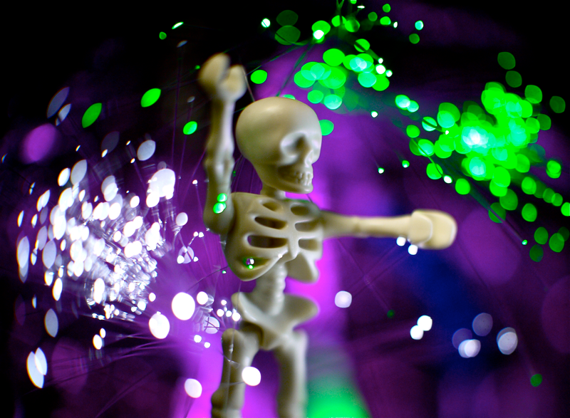 Illustration for article titled Shooting Challenge Freelensing Gallery 1